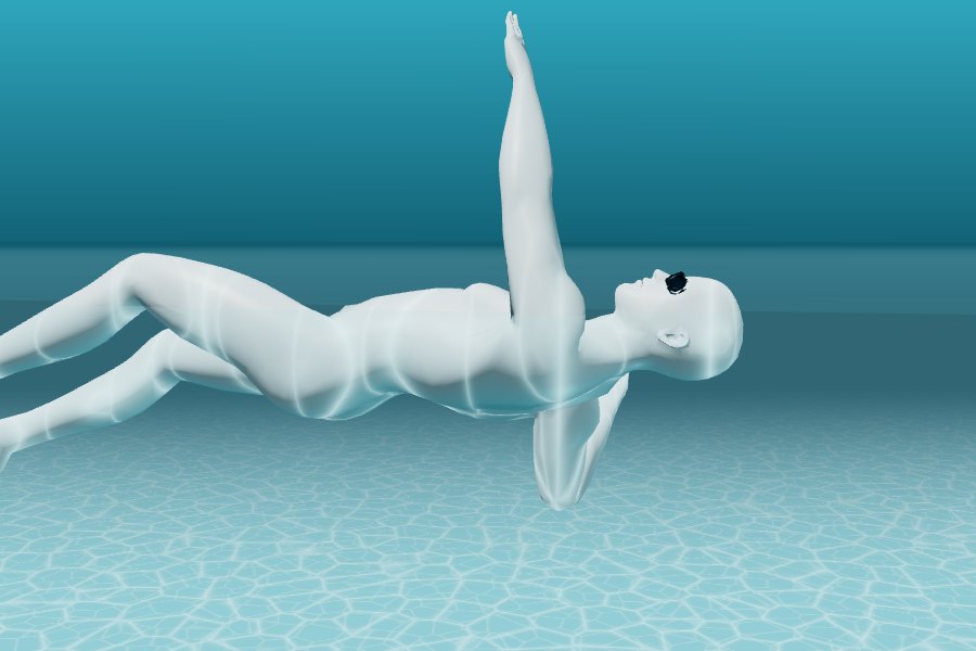 Grzbiet - model 3D pływaka